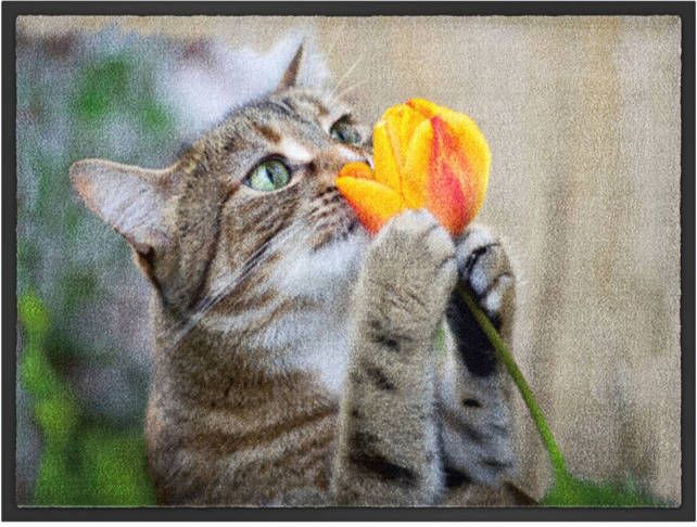 bonprix Deurmat met kat
