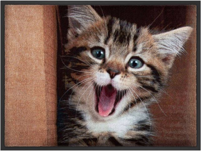 bonprix Deurmat met kat