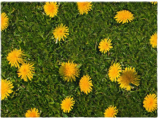 bonprix Deurmat met paardenbloemen