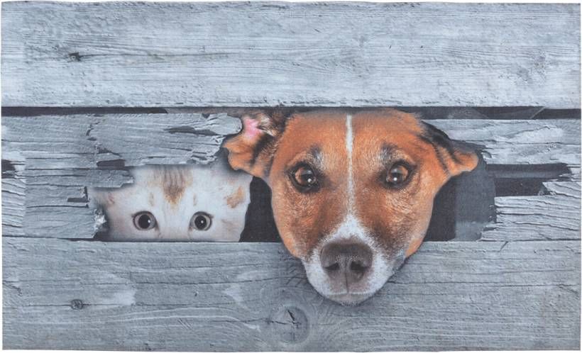 Esschert Design Deurmat Kiekeboe Hond en Kat