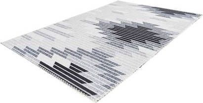 Arte Espina Maya 120 x 180 cm Vloerkleed Grijs 500