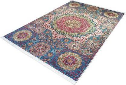 FlyCarpets Vintage Multi Vloerkleed Wasbaar