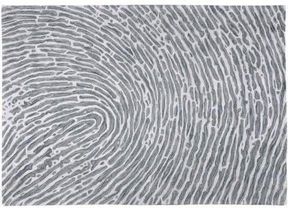 Goossens Vloerkleed Lenta rechthoekig in Lenta, zachtgroen