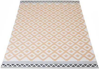 Home67 Vloerkleed Gin 160 x 230 cm