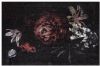 MD-Entree MD Entree Schoonloopmat Soft&Deco Bella Rosa 67 x 100 cm online kopen