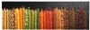 VidaXL Keukenmat wasbaar Spice 60x300 cm online kopen