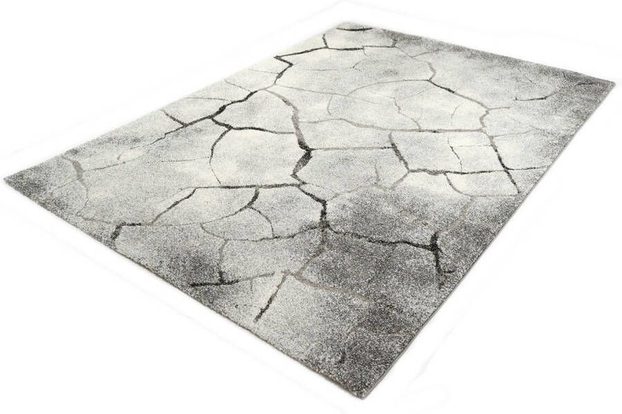 Merinos Marmer Design Vloerkleed Ibiza 21007 95 Grijs 120 x 170 cm