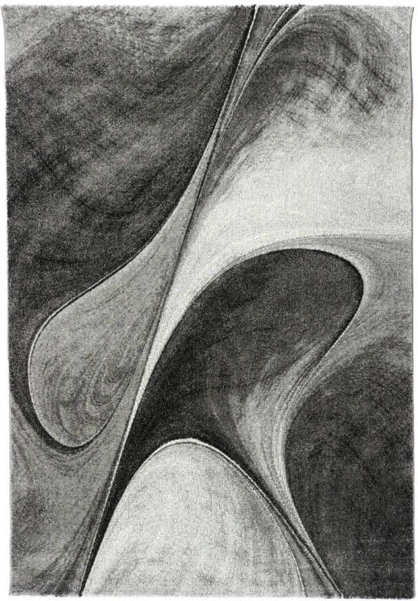 Merinos Vloerkleed Brilliance 662 995 Grijs 120 x 170 cm