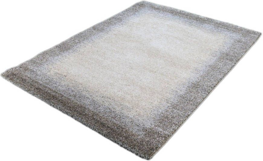 Merinos Vloerkleed Elegant Lijst Patroon Bruin Beige 120 x 170 cm