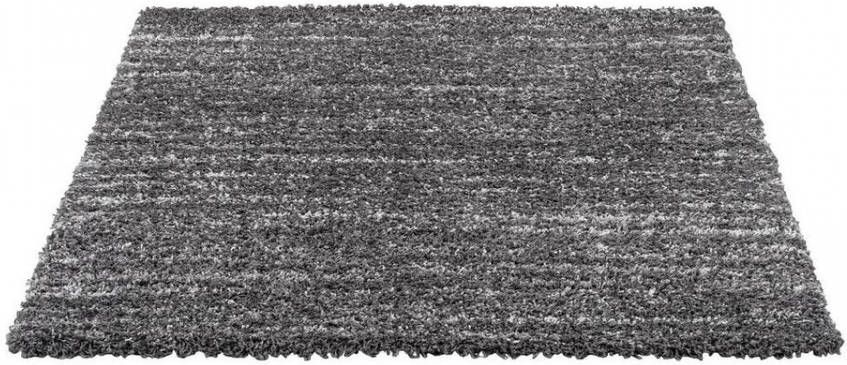 Leen Bakker Vloerkleed Bahamas donkergrijs 160x230 cm