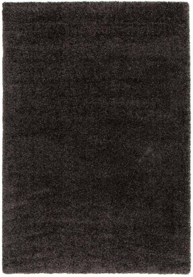 Leen Bakker Vloerkleed Haris antraciet 160x230 cm