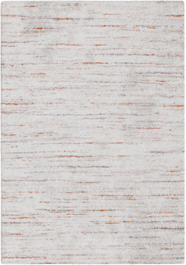 Leen Bakker Vloerkleed Pomonte grijs 160x230 cm