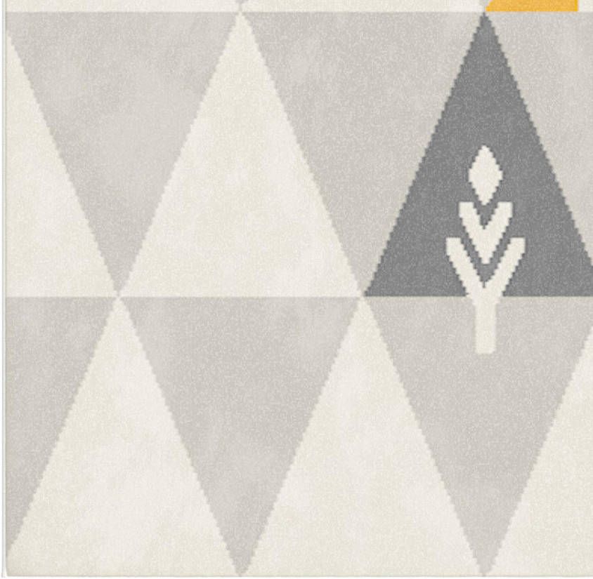 Leen Bakker Vloerkleed Tipi grijs 120x170 cm