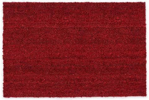 ASTRA Mat Kokosvelours 106 Inloopmat, kokosmat, geschikt voor binnen en buiten