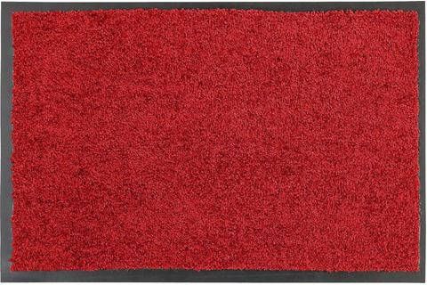ASTRA Mat Proper Tex 618 Inloopmat, geschikt voor binnen en buiten