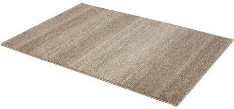 ASTRA Vloerkleed Carpi uni Woonkamer