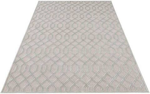 HANSE Home Vloerkleed Caine Viscose glans, reliëfstructuur, woonkamer, slaapkamer, robuust, onderhoudsarm, rastermotief