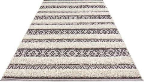 HANSE Home Vloerkleed Temara Geschikt voor binnen en buiten, reliëfstructuur, oriënt design, vintage look, balkon, terras, tuin, woonkamer, robuust, onderhoudsarm