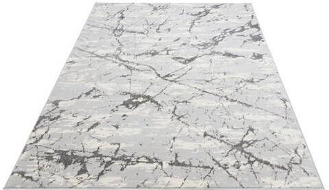 Leonique Vloerkleed Kalmus modern marmer design, woonkamer
