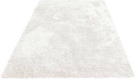 my home Hoogpolig vloerkleed Boldo bijzonder zacht door microvezel, woonkamer, shaggy vloerkleed