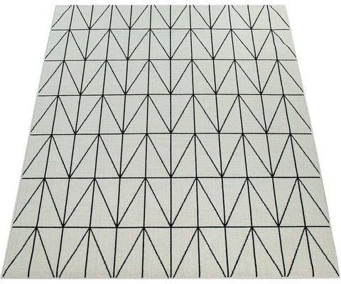 Paco Home Vloerkleed Brugge 224 Platweefsel, modern geometrisch motief, geschikt voor binnen en buiten, woonkamer