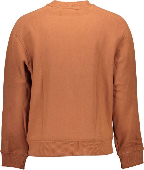 Calvin Klein Shirts Bruin Heren