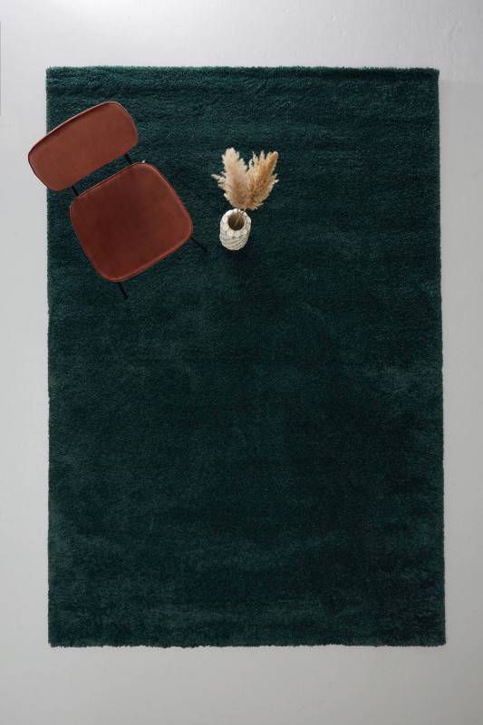 Wehkamp Home vloerkleed(290x200 cm )