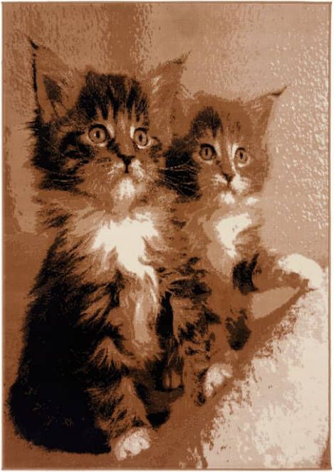 ZEN@Home Vloerkleed Sammy Bruin