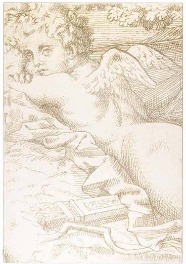 Zuiver Amor Vloerkleed 160 x 230 cm